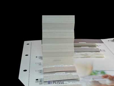 Штора плиссе Bloecker Cosiflor NEW 31021, PG2, R37 A20 T43