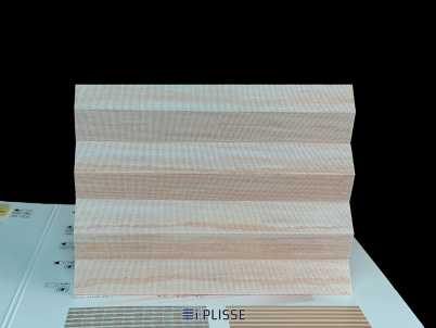 Штора плиссе Basic Bloecker Cosiflor NEW 31090, PG1, R41 A10 T49
